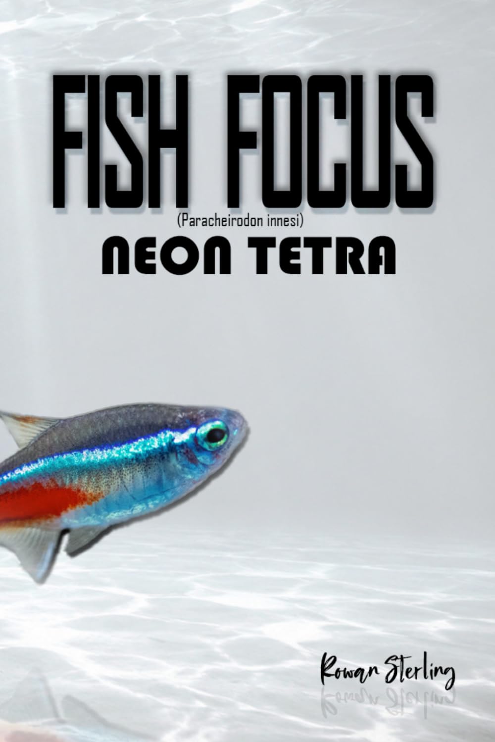 Fish Focus: Neon Tetra (Paracheirodon innesi): Behaviour, Care, and Natural Habitat Guide