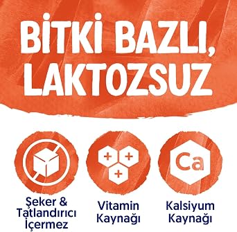 Alpro Şekersiz bitki bazlı laktızsuz Yulaf İçecek 1000 ml