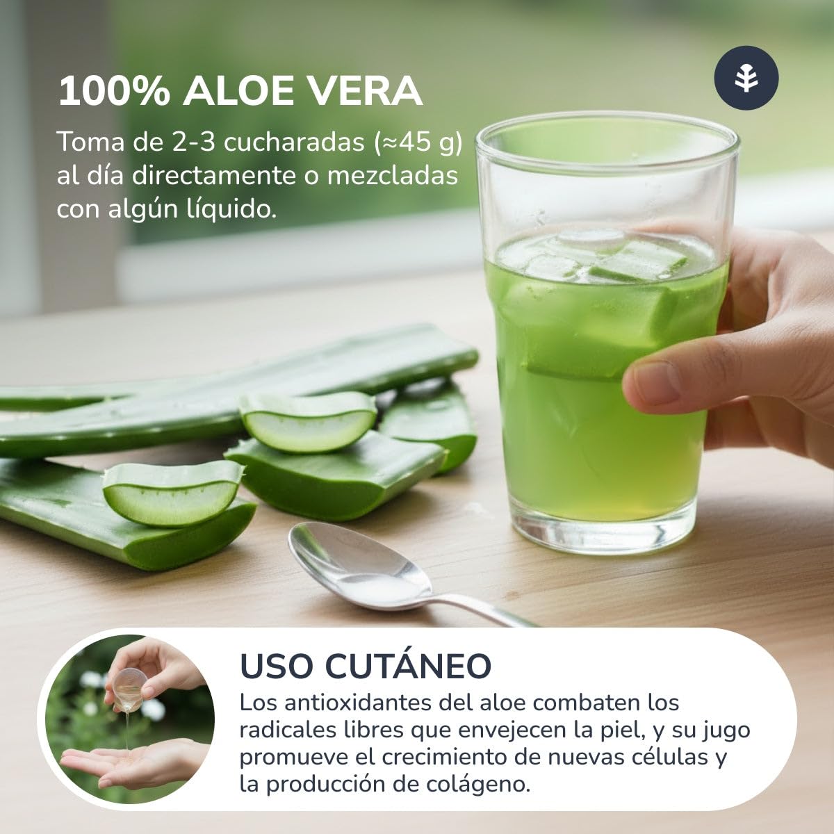 PLANETA HUERTO | Aloe Vera Jugo 1 L - Jugo Puro y Natural de Aloe Vera para el Bienestar Digestivo e Inmunológico