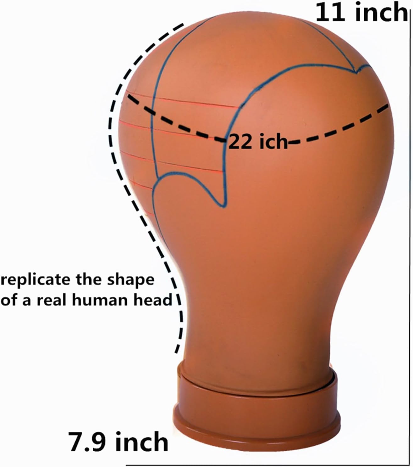 Mannequin Head for Wigs with Guide Lines, Pre-Marked Wig Head for Wig Making and Styling, Suitable for Almost All Wig Stands, Sturdy for 10 Years, 22 Inch, Brown