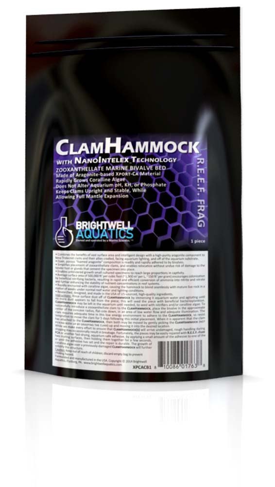 Clam Hammock - Zooxanthellate Marine Bivalve Bed Composed of Xport-Ca