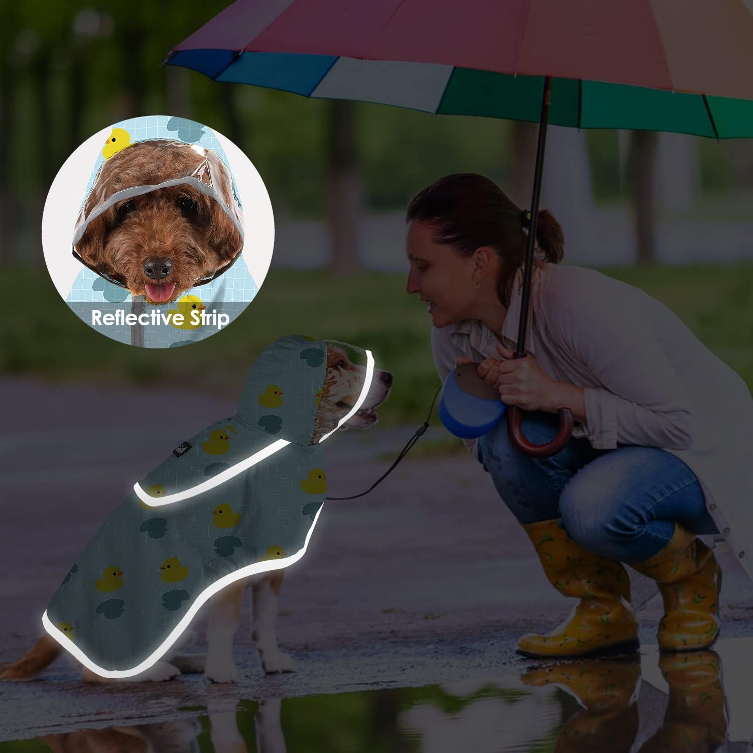 Eyein Dog Raincoat, Waterproof Dog Rain Jacket Vest with Harness Hole & Clear Hooded Double Layer, Adjustable & Reflective Safety Pet Rain Coat Poncho with Storage Pocket for Small Medium Large Breeds 7 61GflhcCIoL. AC SL1500