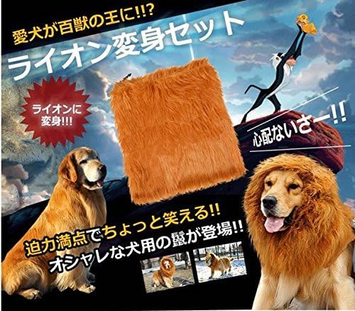 Amazon Co Jp 犬用 ライオン変身セット おしゃれ 可愛い 鬣 愛犬 ライオンキング ペット 服 防備 散歩 ウエア フード ペット用品