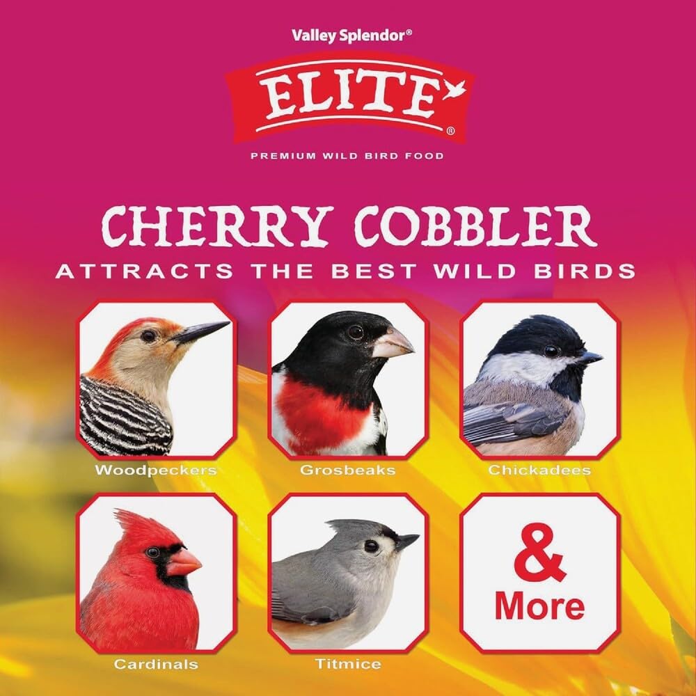 Cherry Cobbler 9497 4,5 kg