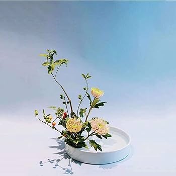 生け花用 皿 Amazon.co.jp: 花器 水盤 生け花用花き Fukuka®高さ8CM1個入り