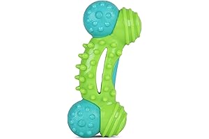 Nubbies Duality Bone Dental Dog Toy: The Ultimate Chew Treat for Dog Dental Health