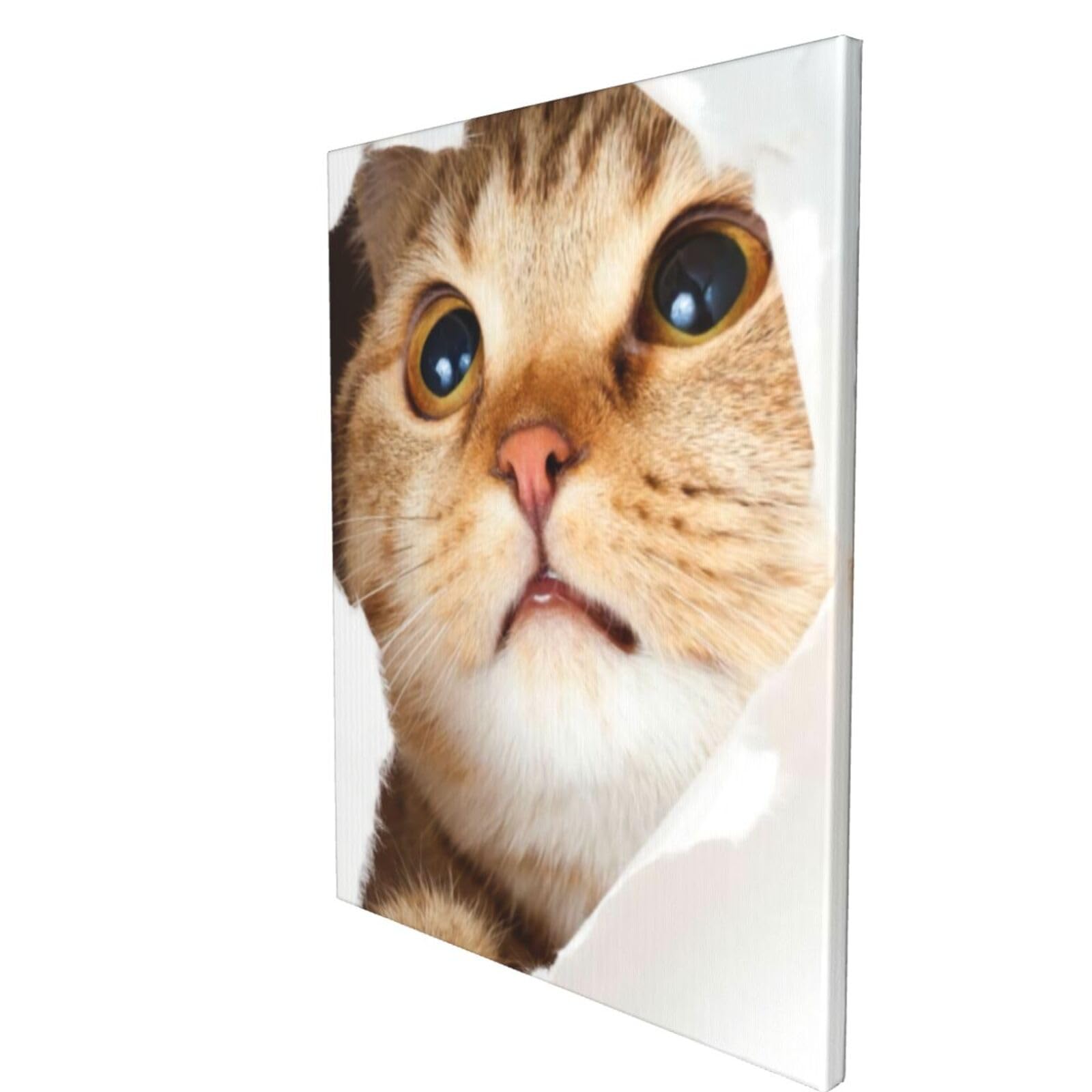 Amazon.co.jp: おもしろ 猫 猫柄 面白い ねこ (2) ポスター アート