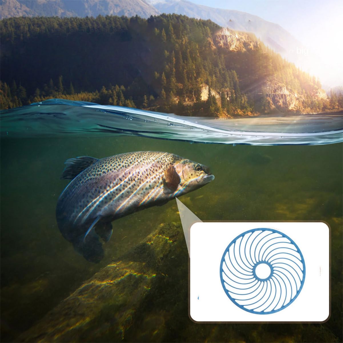 Abaodam 2pezzi Disco da Lancio per Retino da Pesca Mano Resistente all Acqua Salata Anelli da Lancio Accessori per Retino da Pesca Portatile e Facile da Usare