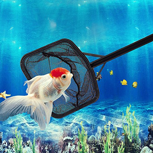 Agfabric ABS Stable Fish Nets - 2Pack - Square Shape Anti-Corrosion Trawl Nets with Soft & Flexible Mesh, Medium, Black