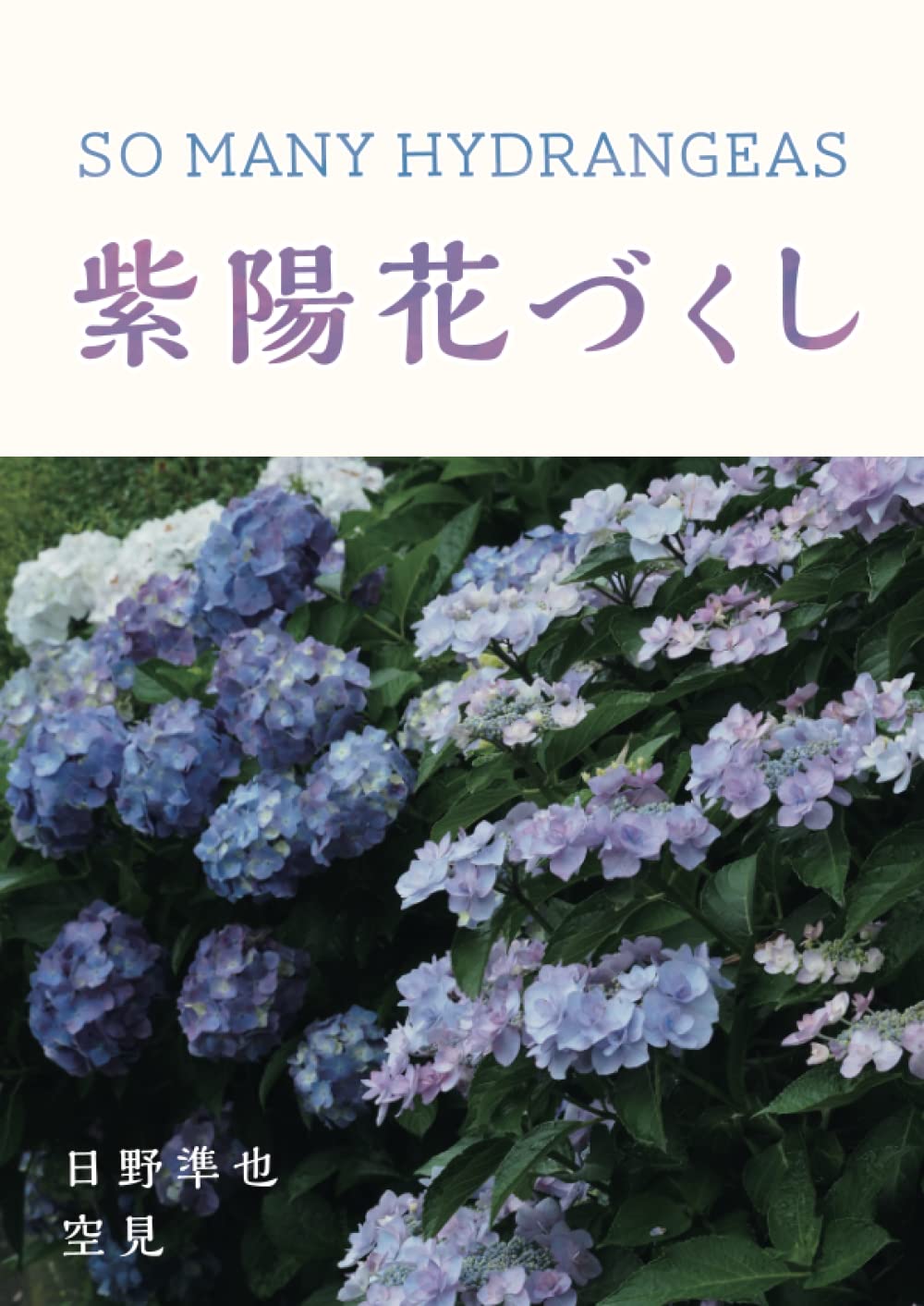 切花　紫陽花　リン　ピカソ　各1本 切花 紫陽花 リン ピカソ 各1本 切花 紫陽花 リン ピカソ 各1本