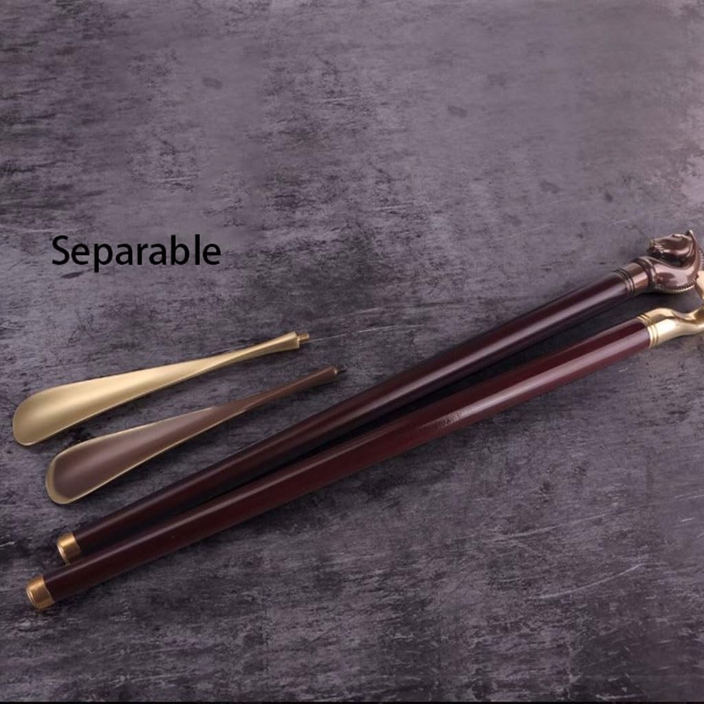 TEESONG Calzascarpe Calzascarpe, Calzascarpe pigro, Calzascarpe lungo verticale con base, Calzascarpe for donne incinte, Regalo for sollevatore di scarpe Strumento Calzascarpe