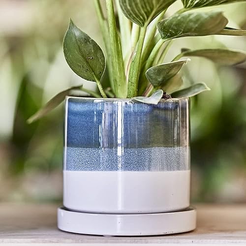 Miniatura 4 de CHIVE Macetas de cerámica para suculentas 'Minute', macetas de 5 pulgadas para cactus y flores de interior con drenaje y platillo desmontable, verde