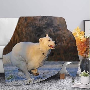 毛布 冬用 青いクリスマスの犬 ベッドブランケット 180x2 Cm あったかい 柔らかく肌触り 速乾 吸湿発熱 洗える ブランケット オールシーズン適用 ブランケット 毛布 サイズ 180x2 Cm Aiacom Org Br