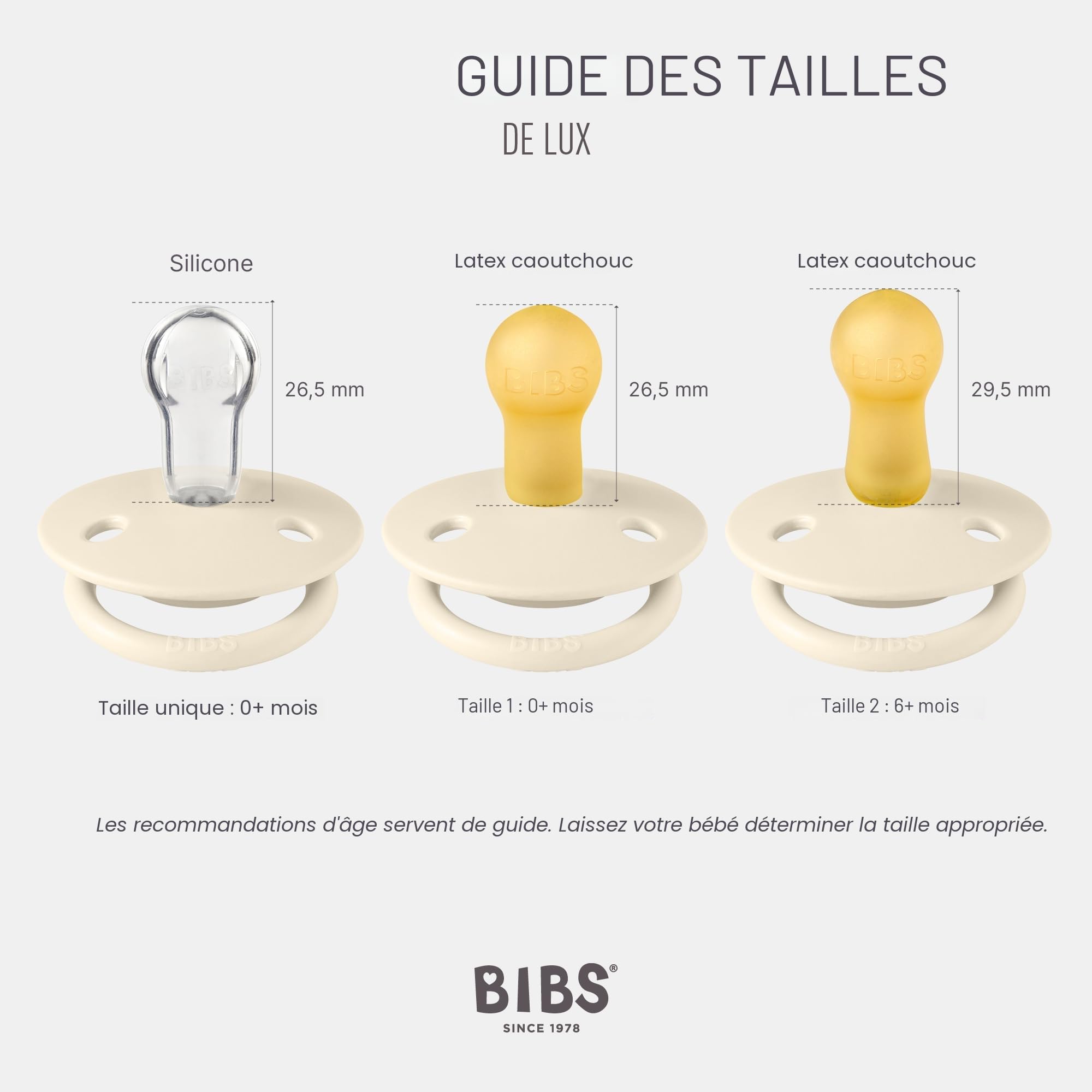 BIBS De Lux Tétine Lot de 2 Silicone Sans BPA 0-36 mois Blossom Dusky Lilac