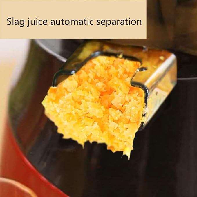 Extractor de Jugos Prensado Frío Boca Ancha 150W 220V miniatura 5