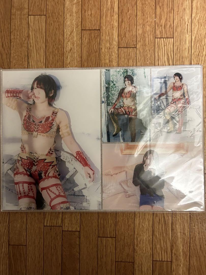 スターダム 林下詩美選手 パネル Amazon.co.jp: スターダム 林下詩美選手 パネル : おもちゃ