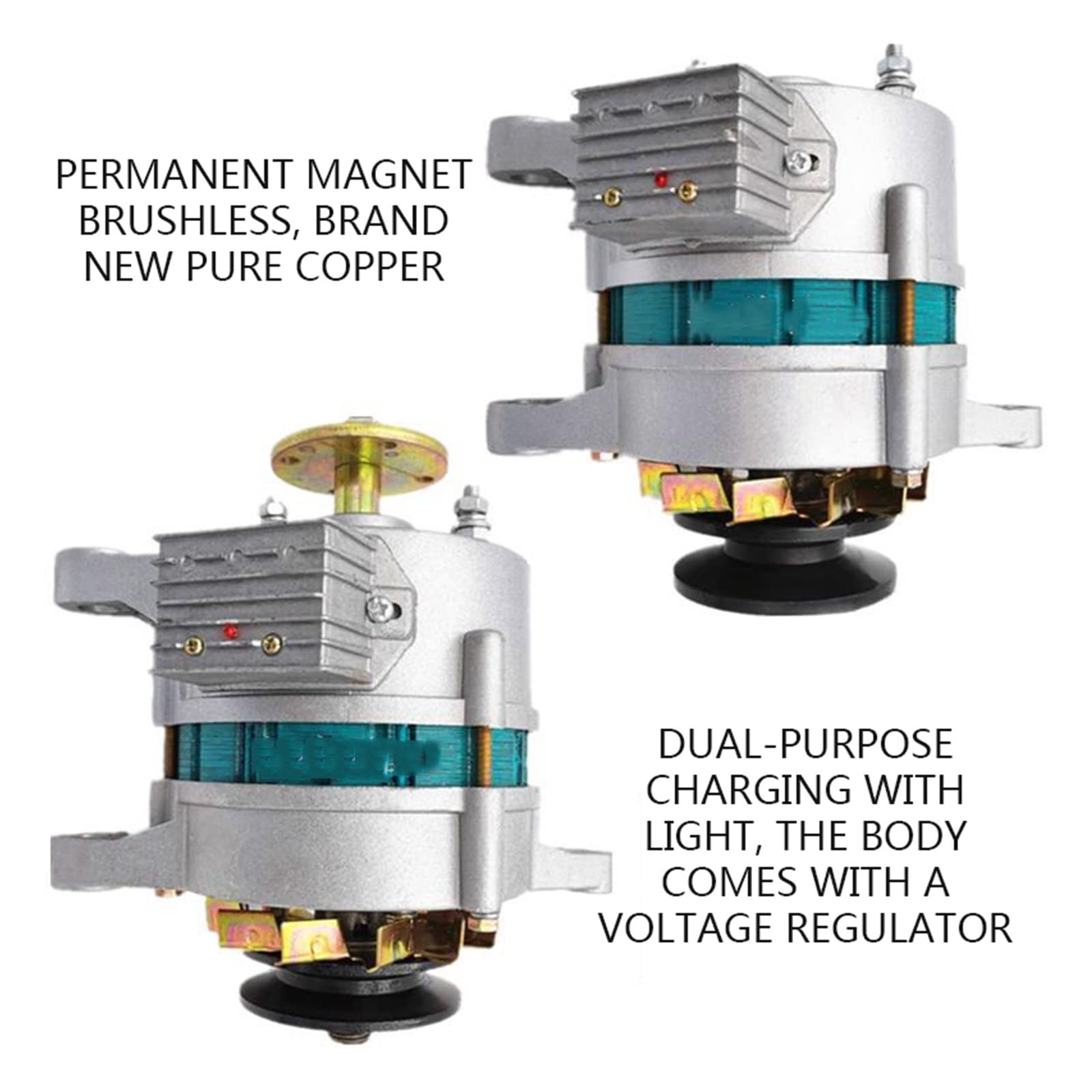 Ricarica CA/CC con generatore di lampade 12v14v Generatore magneti permanenti a doppio uso for trattori a triciclo for veicoli agricoli Per uso fai da te(500W double wheel)
