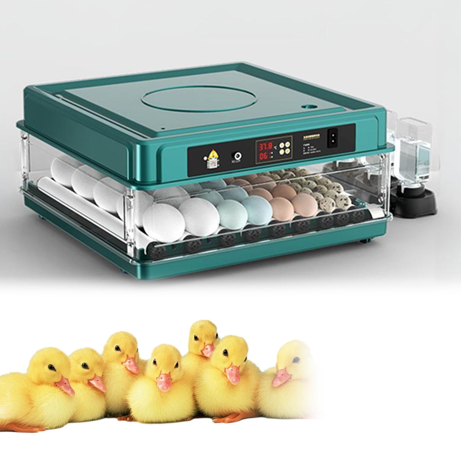 SPECIALBIEGEBUY Scientific Digital Incubator, 36-Egg Laboratory Poultry Hatching Equipment With Precise Temperature Regulation, Fits Chicken, Duck, Goose, Pigeon And Quail Eggs