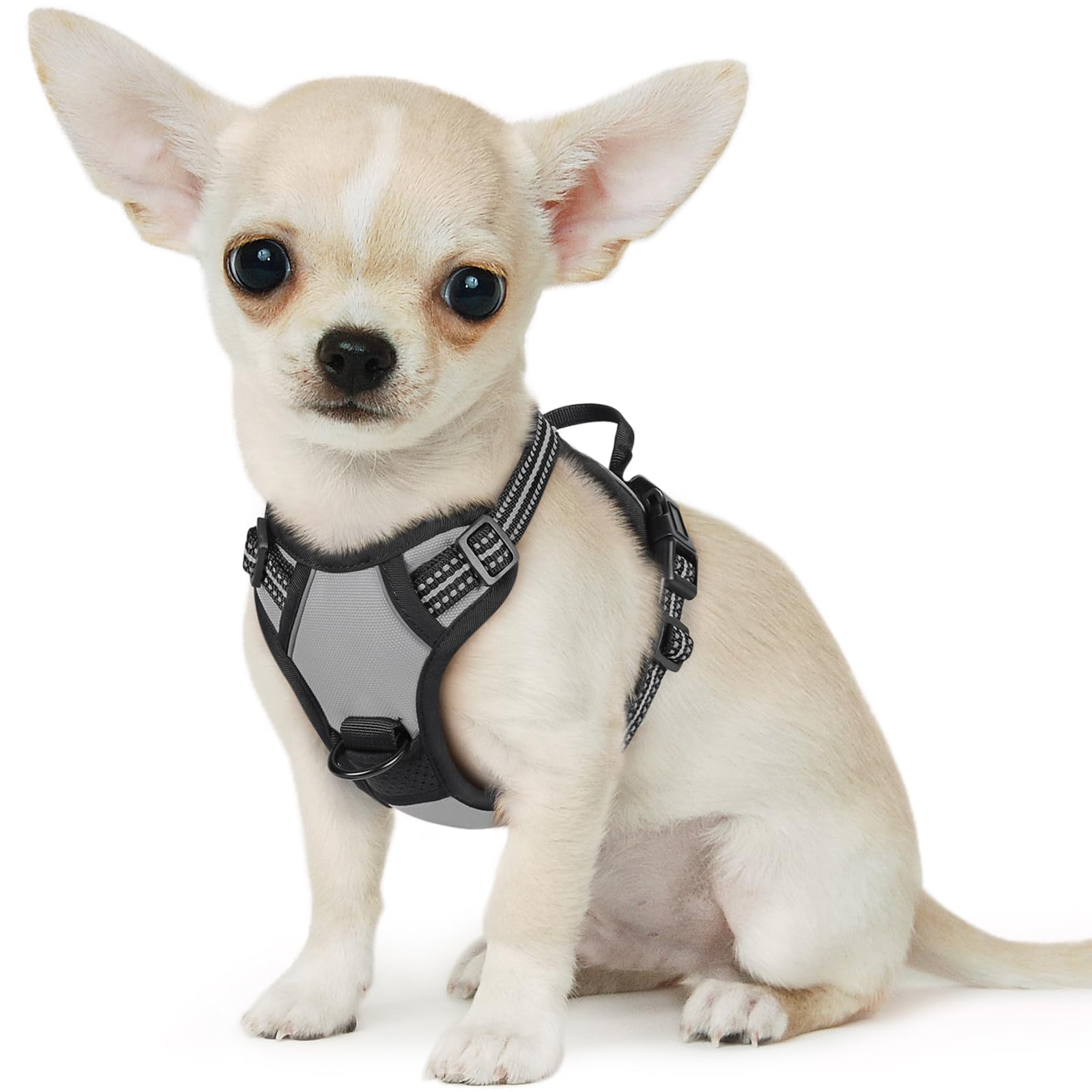 Eagloo Dog Harness for Small Dogs, No Pull Pet Vest with 2 Leash Clips