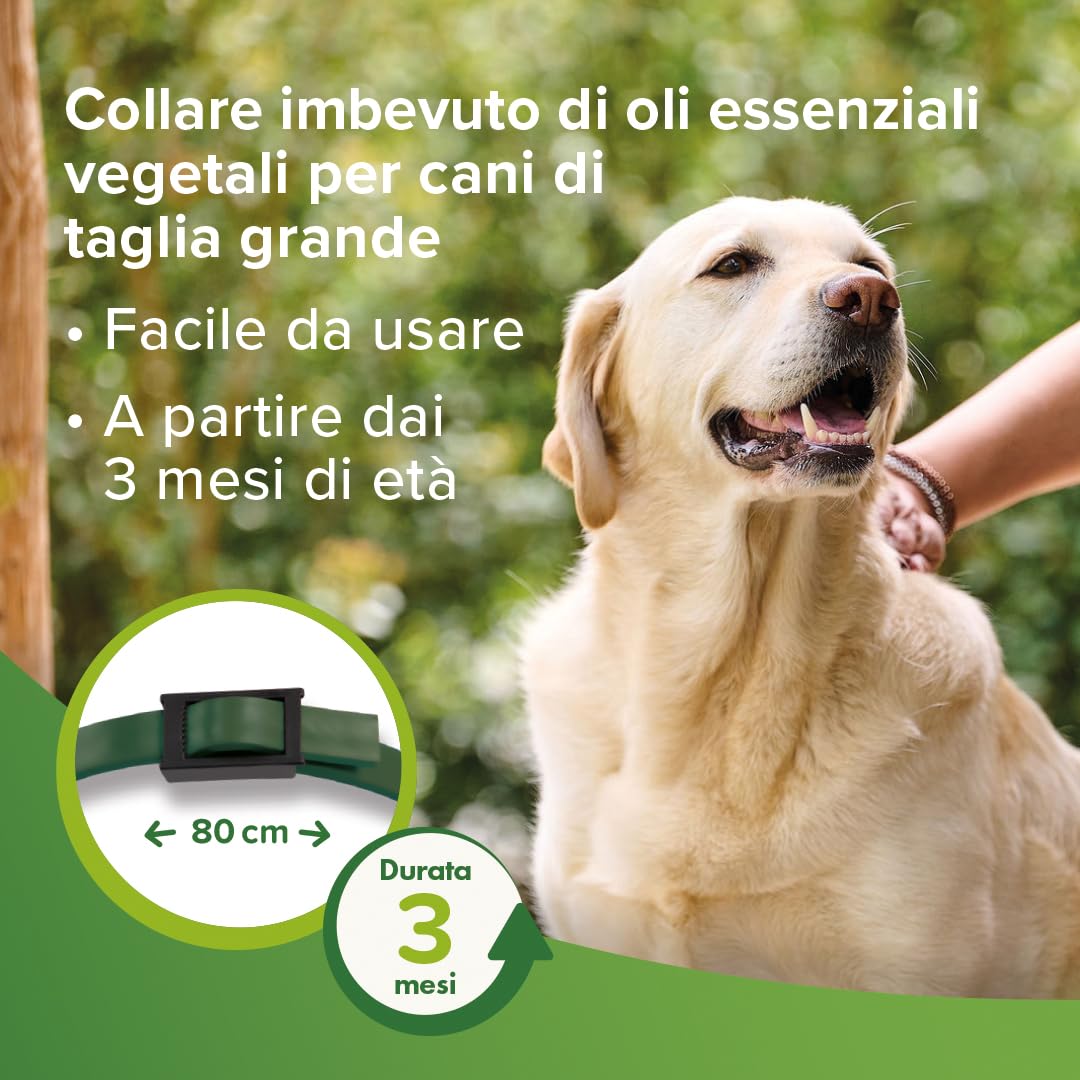 Beaphar Protezione Naturale, Collare Scudo Regolabile per Cane Grande, con Olio di Neem, Fino a 3 Mesi di Protezione, 80 cm