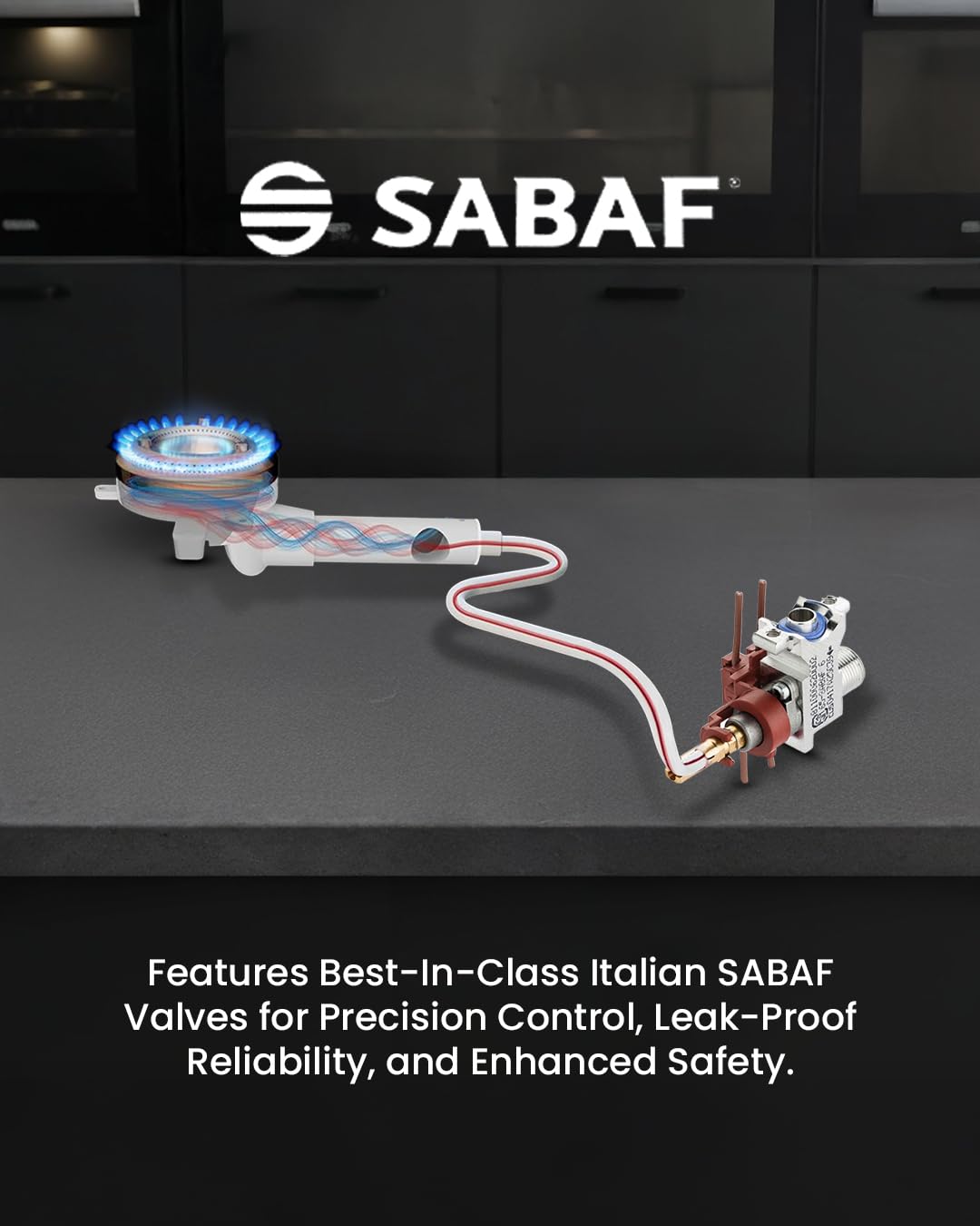 Italian sabaf valve and burner in sujata gas stove