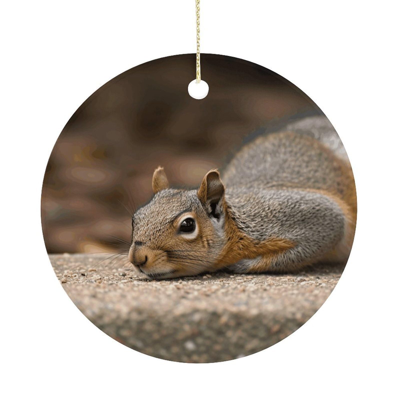 Adfgyerh Women's Style Squirrel Just Laying Hanging Ceramic Ornaments, Christmas Tree Decorations, Funny Home Decor Gifts For Sisters & Work Best Friends