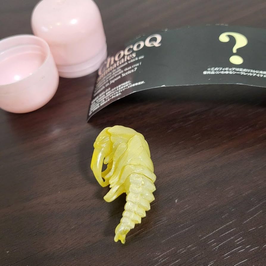 Amazon.co.jp: 海洋堂 チョコQ シークレット オオクワガタさなぎ