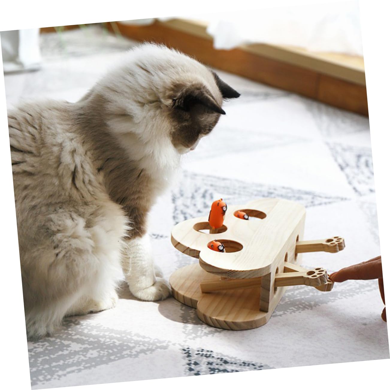 TOYANDONA Chat Éducatif pour Design de Souris pour Chasse Jeu Parfait pour Votre Animal de Compagnie