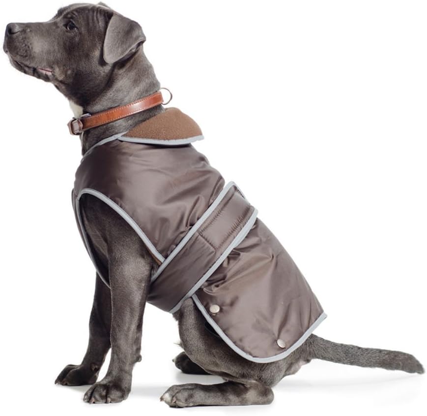 best dog coat
