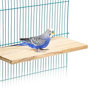 View of Amazon.com: Macaw Bird Cage
