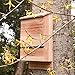 BAT House PEST Control - Bats Shelter Protects Home from Mosquitoes and Bugs - Dual Chamber Wooden Bat Boxes Built to Last - Houses Up to 360 Bats - Repels Pests from Garden (Small, Brown)