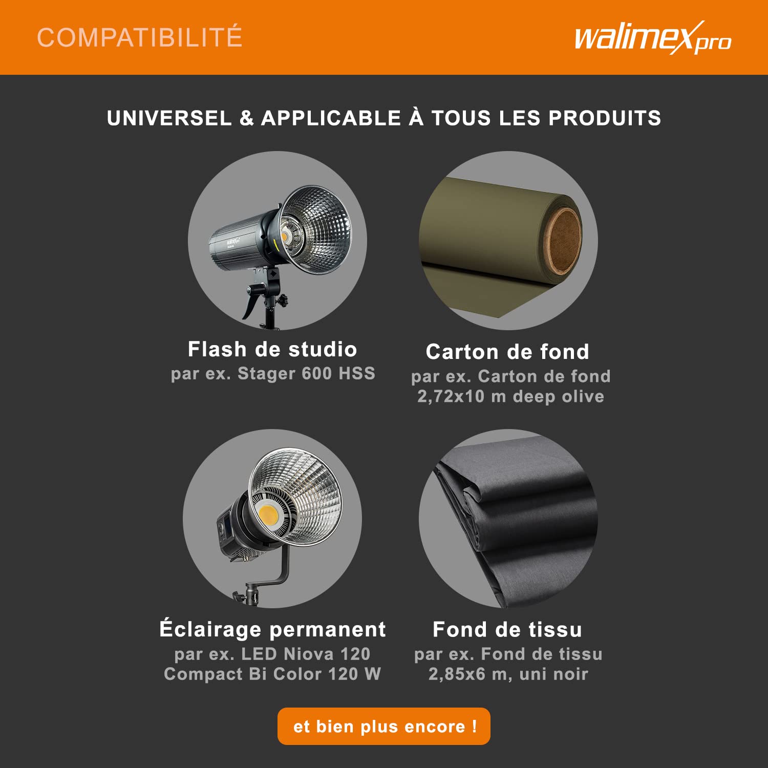 Walimex pro Système de fond triple 145-290cm I jusqu'à 3 écrans en papier et tissu I système de fond photo pour studio & mobile I pour la photographie, la vidéo et l'écran vert I hauteur jusqu'à 256cm