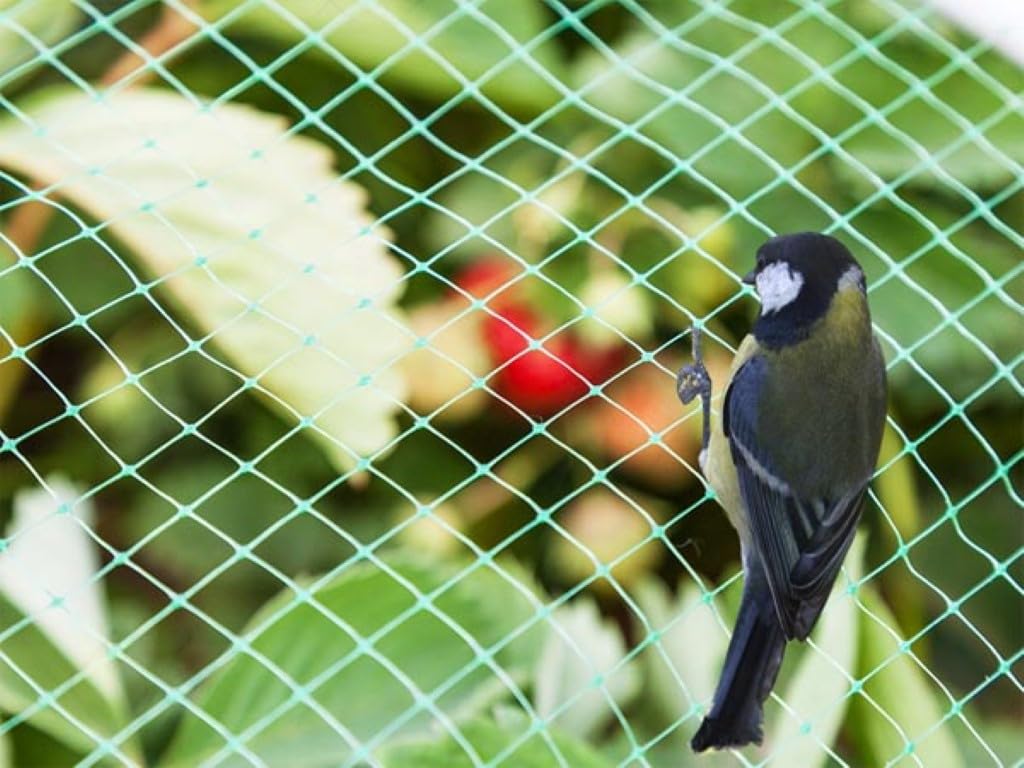 Perel Filet Anti-Oiseaux 8x8 m, Filet Vert avec Mailles de 20 mm, Filet léger en Polyester pour Arbres fruitiers, Potager, arbustes et Bassin, Grand Filet de Jardin Contre Les dégâts causés par Les