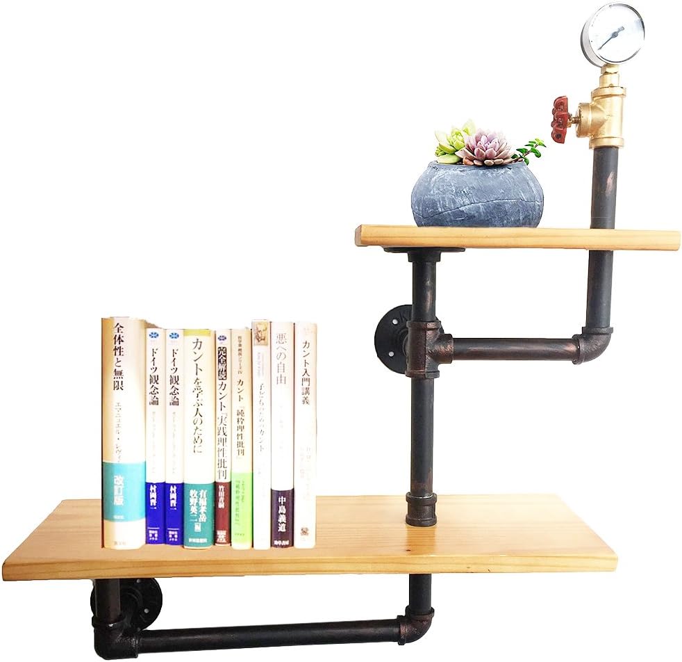 OTUGARE Industrial Pipe Shelf Wall Mounted Brackets Shelves Hanging Wall DIY Decor Pipe Bookshelf-2 Tier