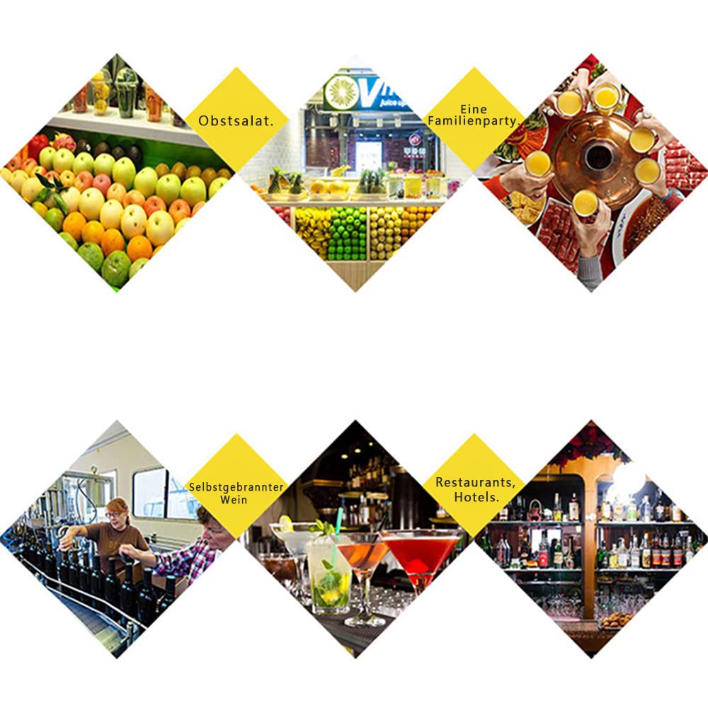 Froadp 6L Saftpresse Eiche Obstpresse Mobile Fruchtpresse Maischepresse mit Handkurbel & Pressnetz Weinpressen Werkzeuge Set Schnitzelpressen Apfelpresse für Obstweine Fruchtsäfte Apfelsaft