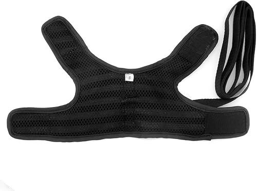 Miniatura 6 de SMALLLEE_LUCKY_STORE Arnés marinero de malla suave para gatos y perros pequeños, chaleco a rayas azul marino para caminar, arnés acolchado para