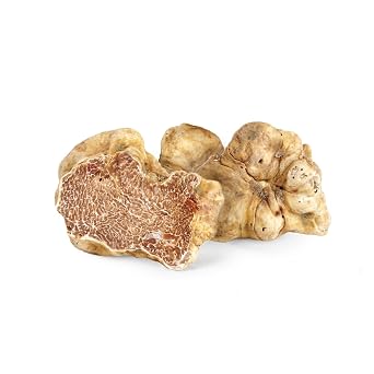 MARKYS Italian Fresh White Truffle Alba - 1.3 oz / 37 g