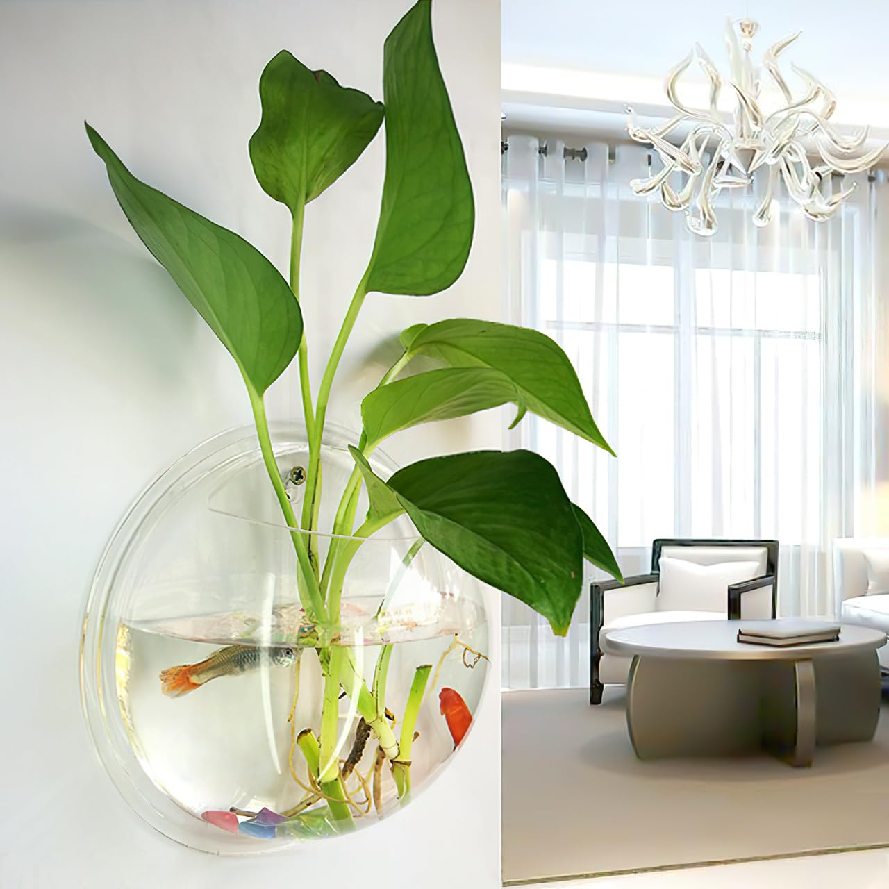 iplusmile Wand-Aquarium Aus Acryl 9.06In Transparent Hängendes Fischglas Fischbecken Für Wandmontage Raum- Und Platzsparende Heimdekoration Mit Klarem Design Für Fische Und Wasserpflanzen
