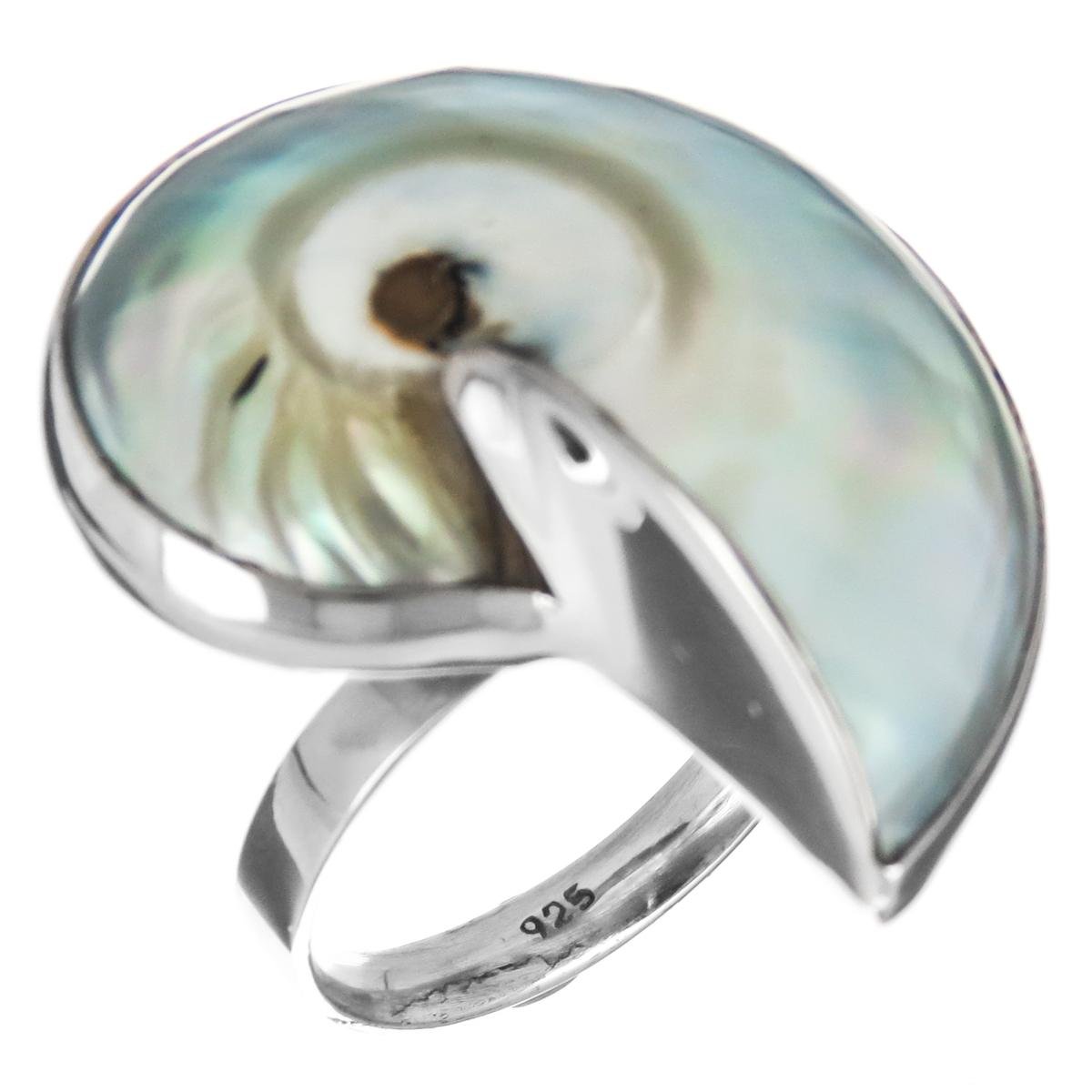 RingSize 8 Blue-silver-tone Polished Nautilus Shell 925 Sterling Silver, 1 1/8"