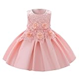 EnJoCho 6M-5 Years Bridesmaid Dress Ruffled Pageant Birthday Kids Princess Girls Gown Wedding Party Girls Dress&Skirt (Pink-03#wer, 12-18 Months)