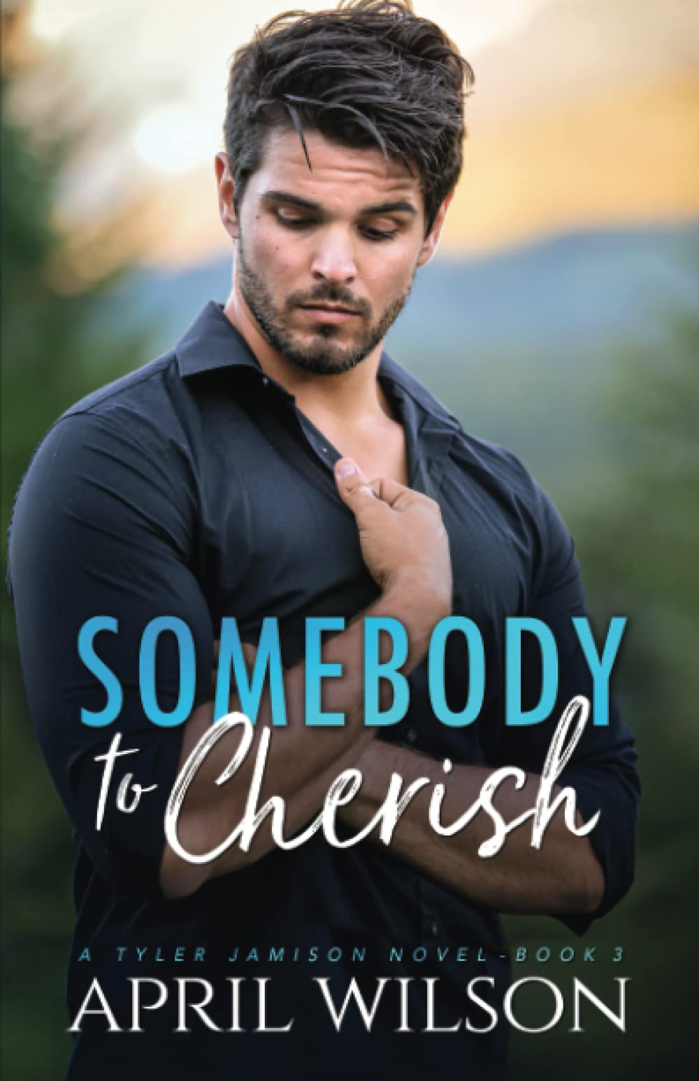 Somebody to Cherish: An Age Gap Protector Gay Romance: 3 (A Tyler Jamison Novel)
