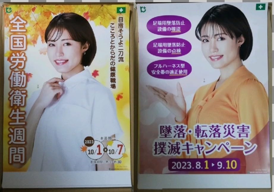 Amazon.co.jp: /2種セット/ 〜 王林 ちゃん B2 ポスター/全国