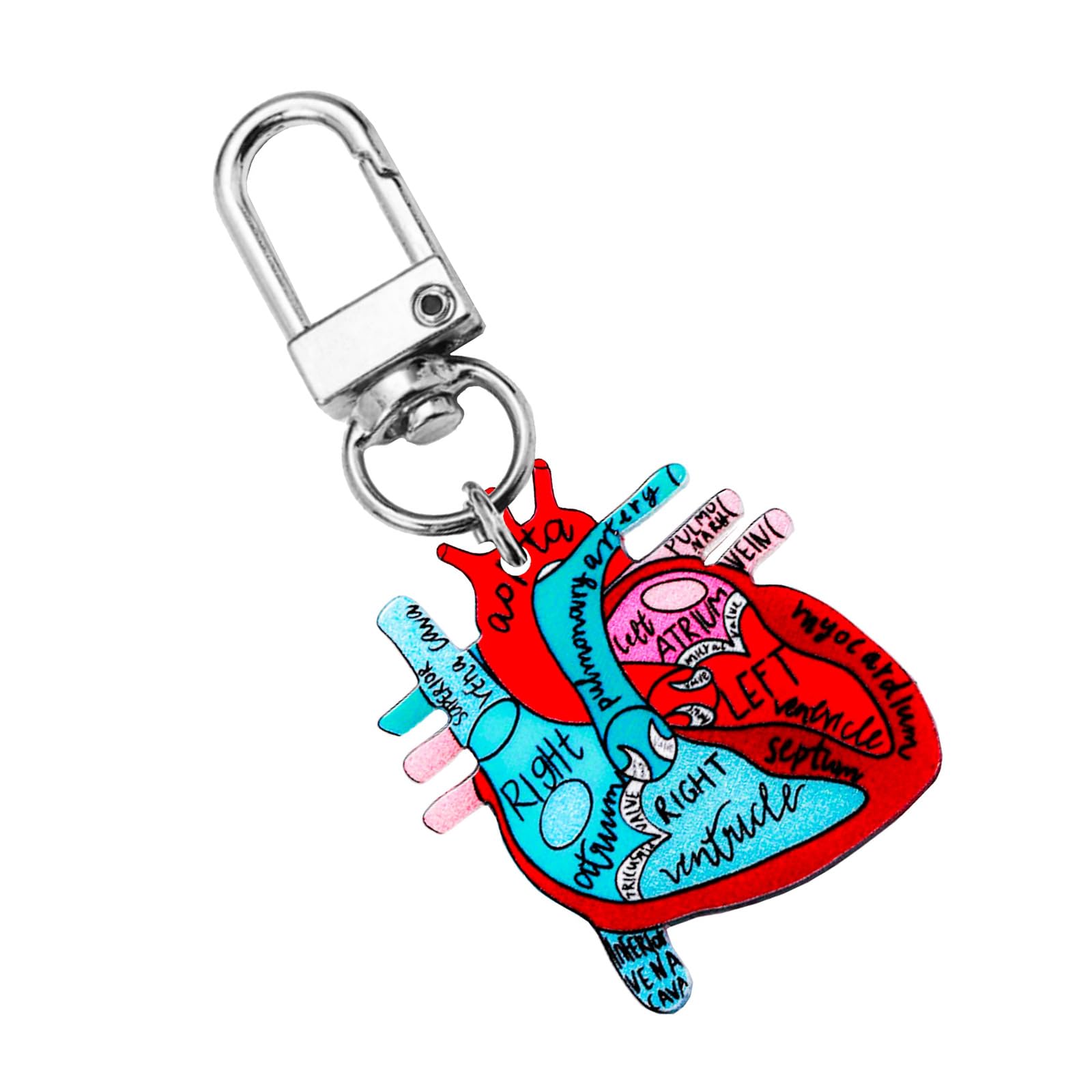 Jojnsha Heart 3 Human Heart Diagram Keychain Detailed Heart Keychain Accessory For Teaching Anatomy To Adults And Children