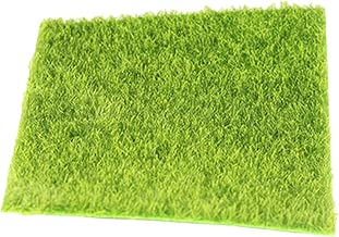 Suchergebnis auf Amazon.de für: deko rasen