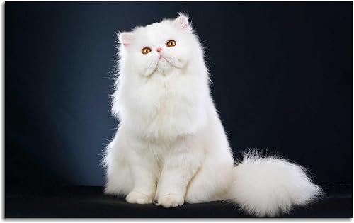 Miniatura 2 de SSDDKL Arte de pared sentado con diseño de gato blanco persa para decoración de oficina en casa con marco de 20 x 12 pulgadas