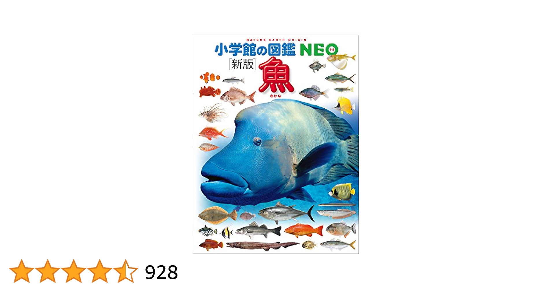 るり　小学館　図鑑　NEO 魚　他　全5冊 Amazon.co.jp: 小学館の図鑑NEO 魚 (小学館の図鑑・NEO 4