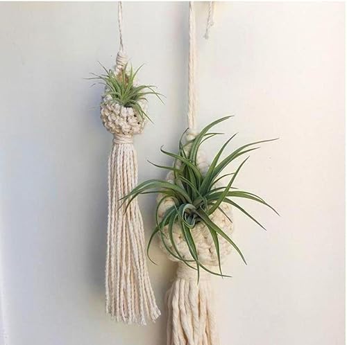 Miniatura 8 de 2 soportes para plantas de aire de macramé, cordón de algodón, colgador de plantas de aire, mini macetas colgantes para decoración de dormitorio,