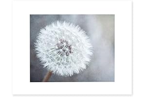 Neutral Grey Floral Wall Decor: Dandelion Flower Picture Wall Art