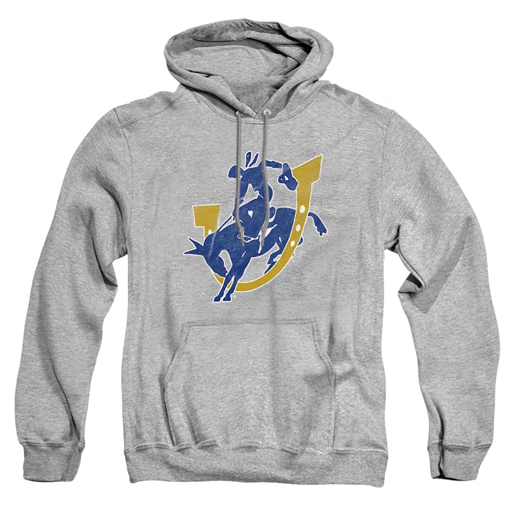 LOGOVISION Official Collegiate Distressed Primary Logo Adult Pullover Hoodie Collection — view 209