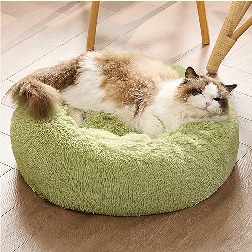 Image of Bedsure Calming Cat Beds for Indoor Cats - Small Cat Bed Washable 20 inches, Anti-Slip Round Fluffy Plush Faux Fur Pet Bed, Fits up to 15 lbs Pets, Green